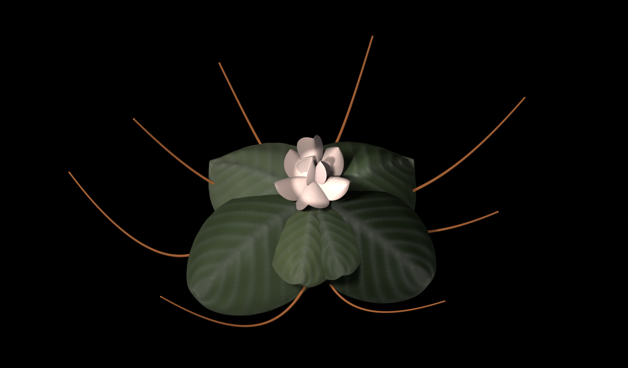 A cluster of leaves